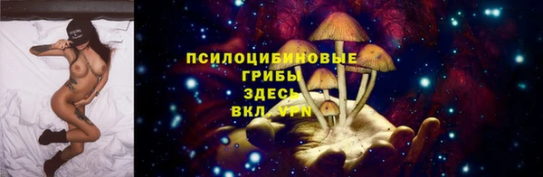 бошки Богданович
