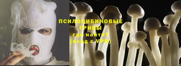 MDMA Богородицк