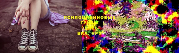 ГАЛЛЮЦИНОГЕННЫЕ ГРИБЫ Богородск
