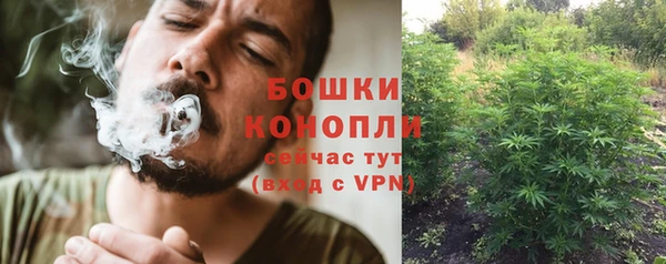 ГАЛЛЮЦИНОГЕННЫЕ ГРИБЫ Богородск