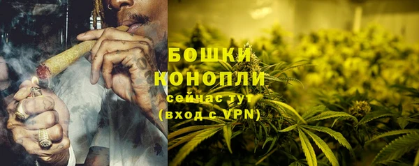 ГАЛЛЮЦИНОГЕННЫЕ ГРИБЫ Богородск