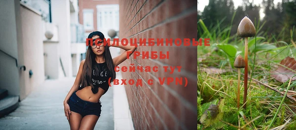 ГАЛЛЮЦИНОГЕННЫЕ ГРИБЫ Богородск