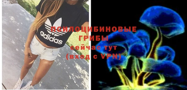 бошки Богданович